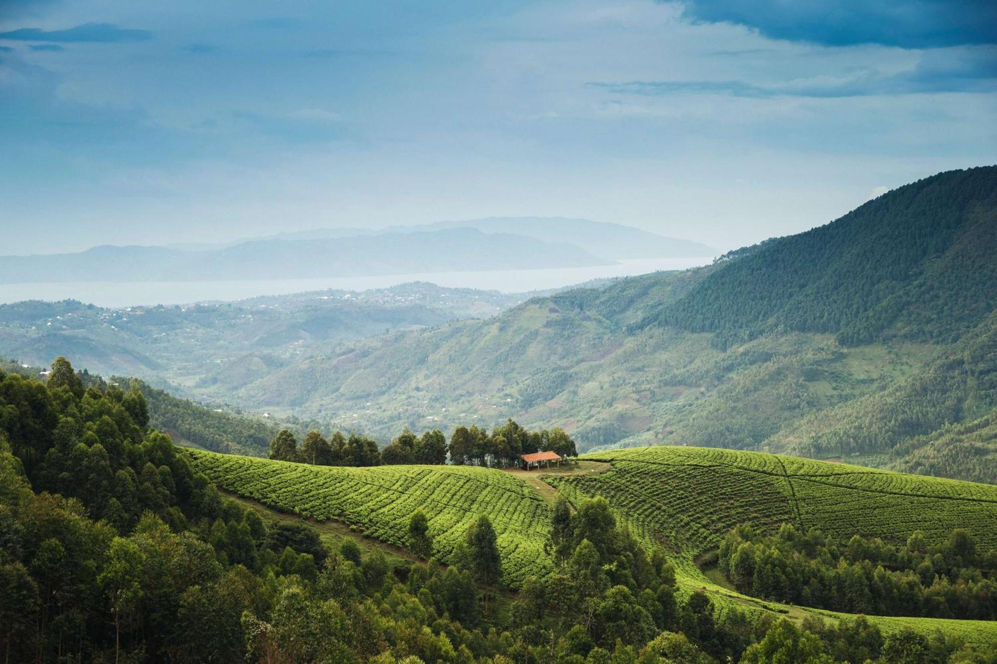 Вилла One&Only Nyungwe House Rwumba Экстерьер фото