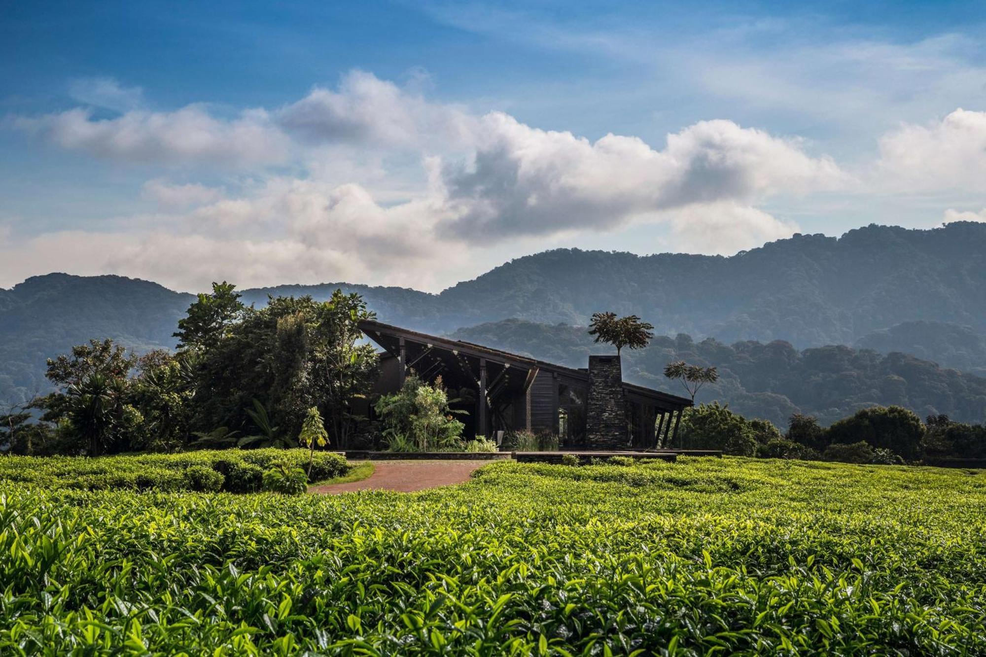 Вилла One&Only Nyungwe House Rwumba Экстерьер фото
