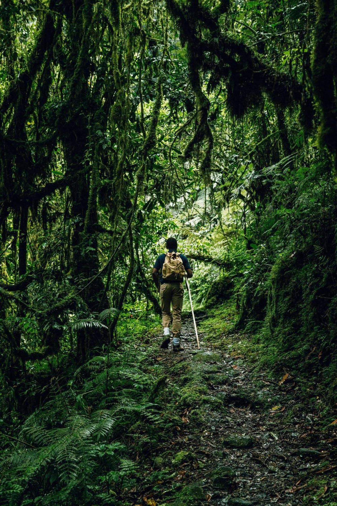 Вилла One&Only Nyungwe House Rwumba Экстерьер фото